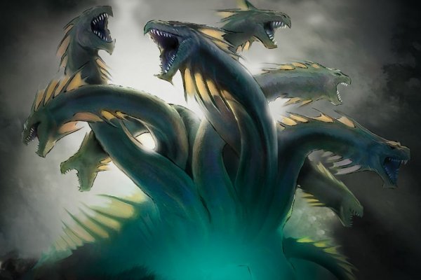 Kraken kraken link24 info
