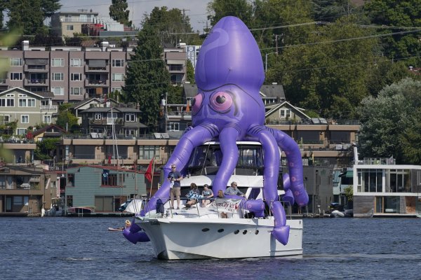 Kraken darknet sliv php
