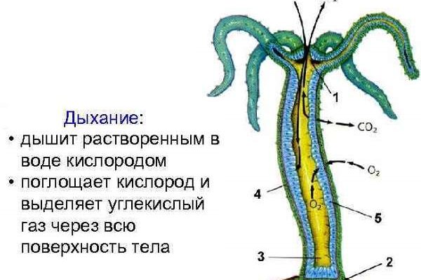 Kra48at