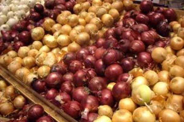 Каталог сайтов даркнет