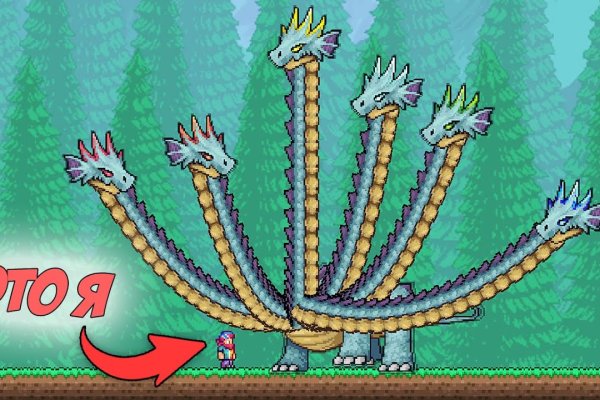 Kraken online