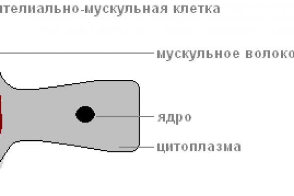 Как купить наркотик в кракен