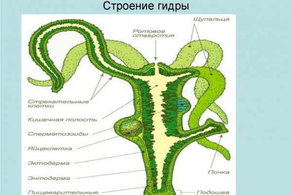Кракен даркнет рекламы