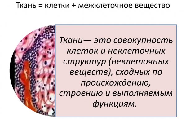 Ошибка на сервере кракен