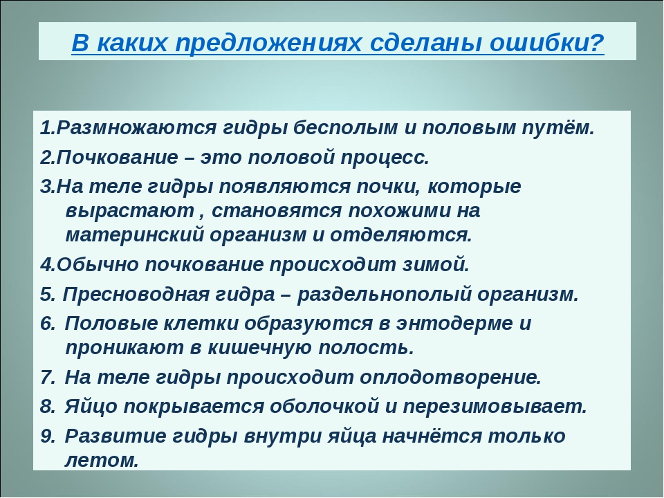 Сайт кракен тор