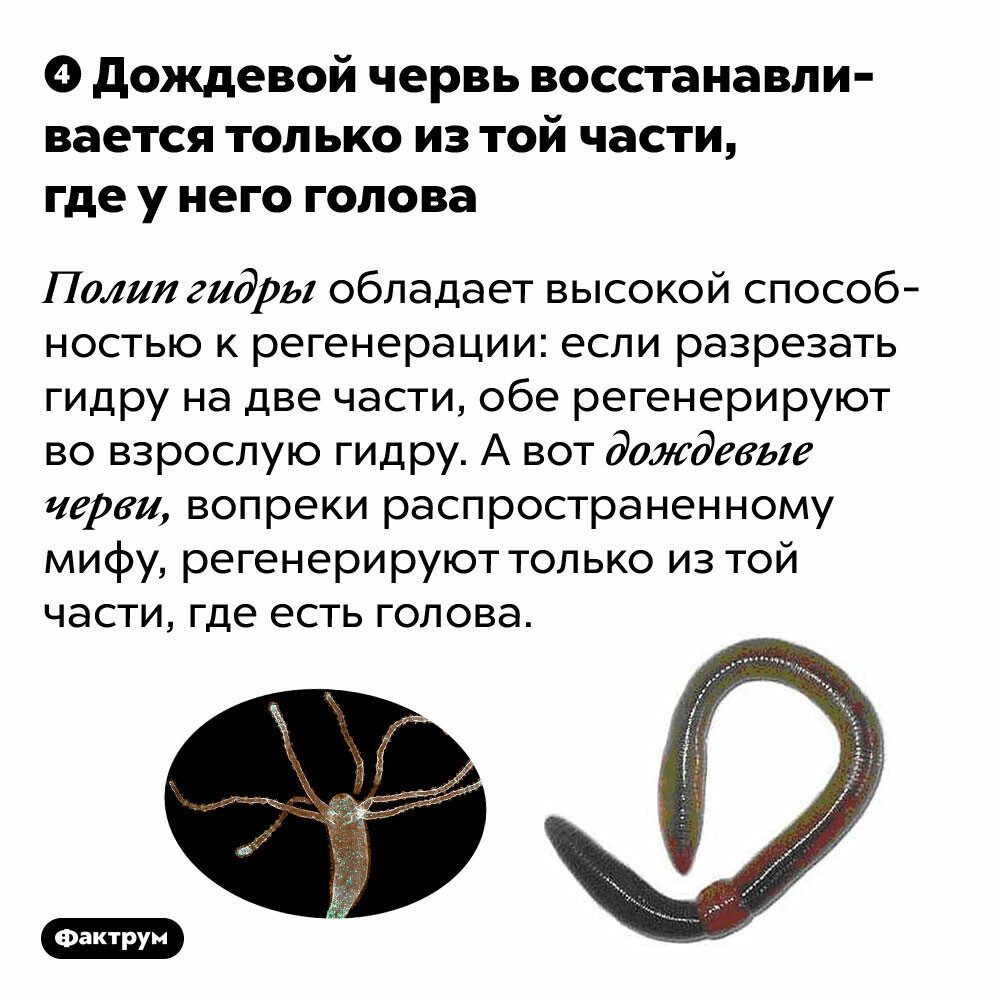 Kra47.cc Вход на сайт главная страница